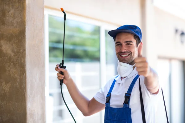 Rockwall Wasp Removal