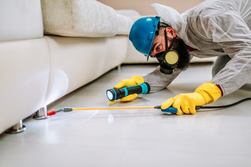 Rockwall Termite Control