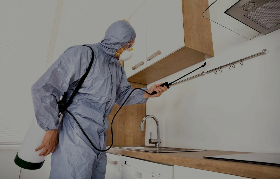 Rockwall pest managment